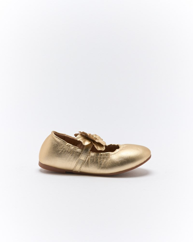 Daisy Ballet - Soft Gold